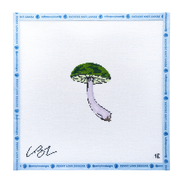 Forest Mushroom